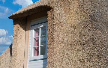Wideopen thatch roof disadvantages