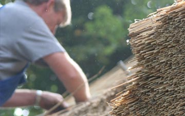 professional Wideopen thatchers